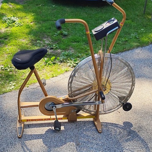 Schwinn airdyne ergometer - airdyne, dual