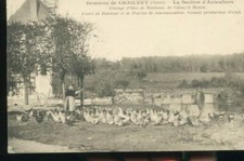 CHAILVET ELEVAGE D OIES