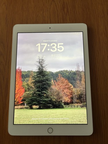 Apple ipad génération - apple,