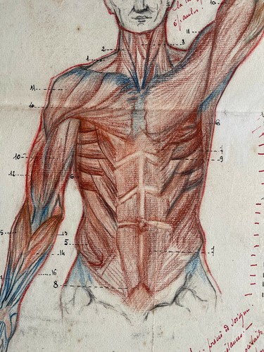 Rare dessin original - , grand