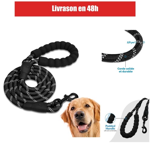 Edipets laisse chien - laisse,