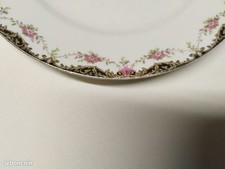 Assiettes en porcelaine de