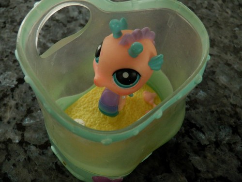 Littlest pet shop seahorse - , 142