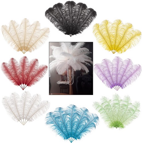 Plume plumes autruche - plume,