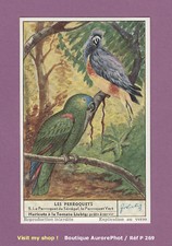 CHROMO LIEBIG : ANIMAUX