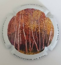 Capsule Jeroboam champagne Bouvier. TY