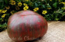 10 graines de tomate RUSSIAN COSSACK unique très rare heirloom tomato méth.bio