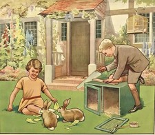Vintage School Classroom Poster Teaching Aid Children Garden Rabbit Hutch Cute