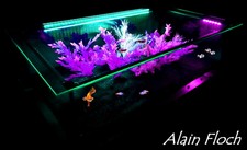 Table Basse Aquarium Design Vitrine Maquette Objet Déco Végétale Poissons LED 