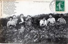 CPA 47 LES VENDANGES EN LOT ET GARONNE (GROS PLAN VIGNE ET VIN