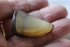 bouton ancien en matière naturelle superbe   forme sabot 00