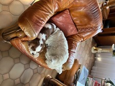 canapé+2 fauteuils cuir bon état + table basse dessus verre 300€