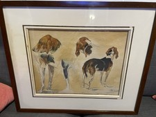 aquarelle chien de meute - chasse Venerie 