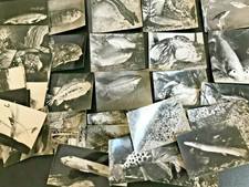 100 Cartes postales PUB SOUFRANE TRANSFUSINE 1960 Vétérinaire médecine animale 