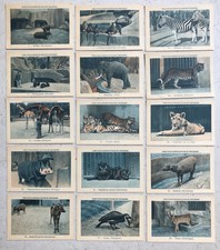 Série complète de 100 Chromos images du Parc Zoologique bois de Vincennes 1950