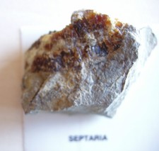 Belle Pierre Minérale Brute Septaria 34 g