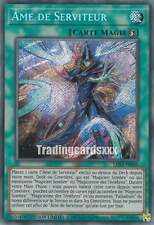 Yu-Gi-Oh! Âme de Serviteur : SE LDS3-FR095