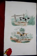 Gravure, IXème,Animaux couleur, 26*16,le Chien couchant,le chien courant,Buffon