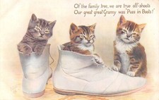 CPA FANTAISIE REPRESENTANT 3 CHATS DANS UNE CHAUSSURE  / CAT / ILLUSTRATEUR