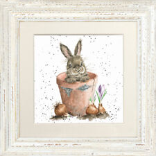 Wrendale Modèles Lapin Image Encadrée " The Fleur Pot " - Divers Couleurs