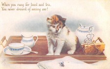 CPA FANTAISIE REPRESENTANT UN CHAT SUR UN PLATEAU  / CAT / ILLUSTRATEUR