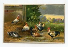 illustrateur SCHÖNIAN . Animaux de la ferme . Poules, Coq, Canard