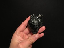 Cabinet de curiosités / Décoration / Replique Coeur humain noir 