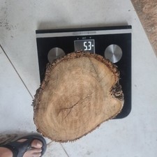 Bois d'olivier Provence N°8A lot 1 rondin 5kg300 ,tournage,sculpture,coutellerie