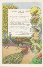 CARTE POSTALE FANTAISIE POESIE JEAN DE LA FONTAINE LE GEAI PARE DES PLUMES PAON