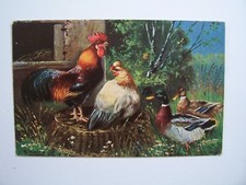 CPA  - Illustrateur : A. Schonian - Animaux de ferme : Coq , Poule , Canards ...