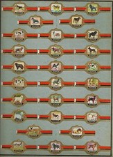 48 BAGUES DE CIGARE - CHIENS AMIS A QUATTRE PATTES -