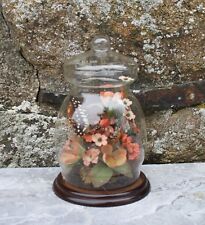 Bocal en verre décor fleurs en tissu et papillon naturalisé vintage taxidermie
