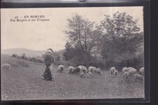 CPA  En MORVAN  Une bergère et son troupeau