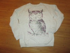 Pull sweat,motif hibou,Taille 13/14ans,marque Zara girls,en TBE