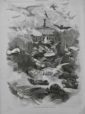 1864 MI THEATRE LIBERTÉ OISEAU PORTEUR NOUVELLE COQ HIBOU CHOUETTE CANARD POULE 