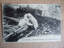 CPA PARIS (75) JARDIN DES PLANTES. LES OURS S'AMUSENT. PARC ZOOLOGIQUE. 