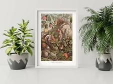 Les escargots terrestres-Illustration-vintage-Histoire Naturelle 19th siècle-Wall Art