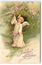 Clapsaddle - Souvenir Affectueux - Ange cueillant des branches fleuries - 21607