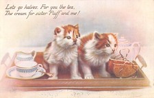 CPA FANTAISIE REPRESENTANTUN 3 CHATS SUR UN PLATEAU / CAT / ILLUSTRATEUR