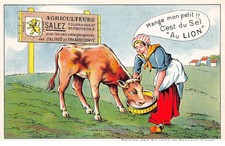 Publicité - n°64185 - Mange mon petit !!! C'est du Sel "Au Lion" - Edition des