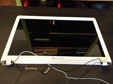 Lcd ecran complet Packard Bell easynote Tv44 HC bon état