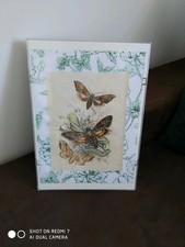 Cadre Ikea et affiche fait main NEUF