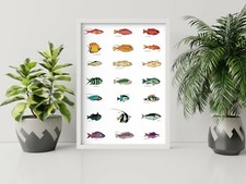 Rainbow-Fantastiques Fish-Louis Renard-Illustration-vintage-Wall Art-Poster