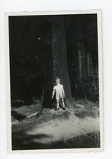 PHOTO  SNAPSHOT, un enfant contre un tronc d'arbre taille ombre lumière