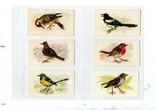 EB14a - Full Original cigarette card set - sport - fauna - military - art -