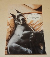 Carte Postale Voulez vous coucher avec moi ? BETTINA du CHATEAU de SIORAC CHIEN