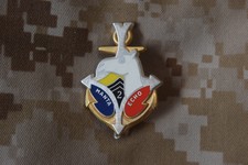 B485 Insigne pucelle militaire de l'Armée Française régiment militaria 