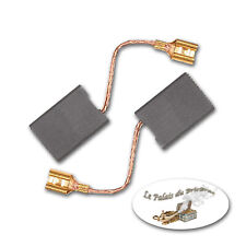 Jeu de 2 charbons pour moteur électrique 6.3 x 16 x 22 (Générique A 65)