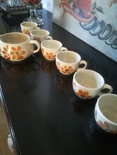 6 Tasses Anciennes + pot à lait-Décor De Fleurs vintage-Faience De Sarreguemines