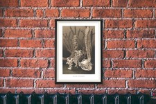 Verre éponges-Marine-Illustration-vintage - HISTOIRE NATURELLE-Wall Art